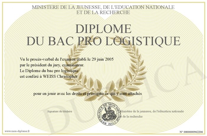 700-962206-Diplome-du-bac-pro-logistique.jpg
